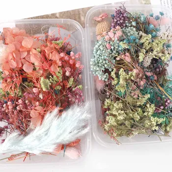 Сухи Цветя, Кутия за Ароматерапия Плаващи Цветя Цветя на главата Производство на Diy Аксесоари със Собствените си Ръце